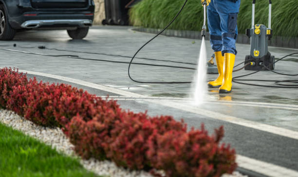 Best Window and Screen Pressure Cleaning in Kapolei, HI